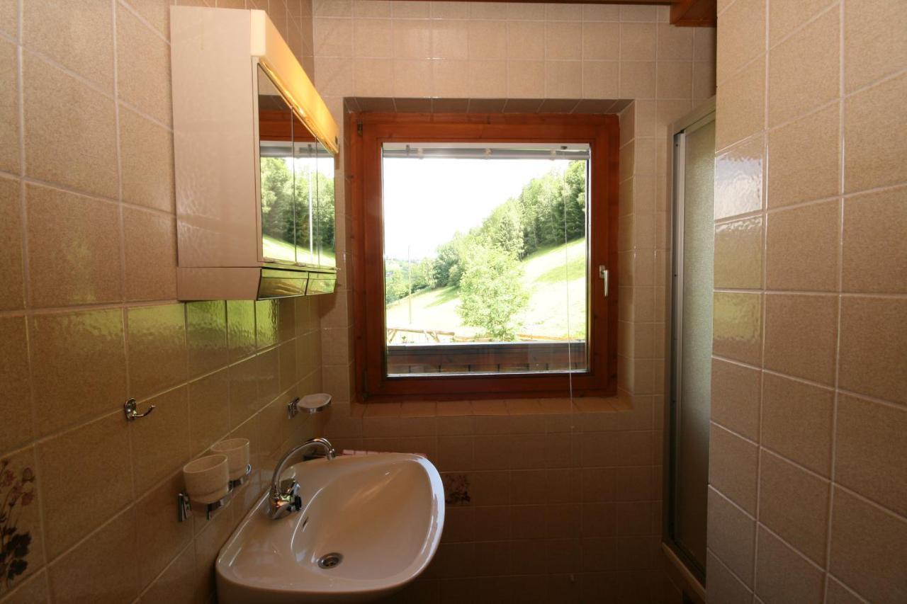 Ahlhof Villa Schladming Buitenkant foto