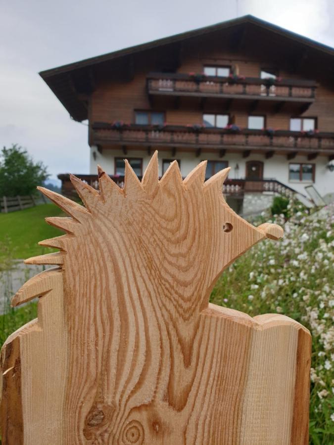 Ahlhof Villa Schladming Buitenkant foto